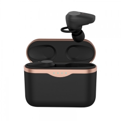 New developed ANC TWS Bluetooth 5.0 earbuds headphone active noise canceling true wireless earphones with Type C port charge case